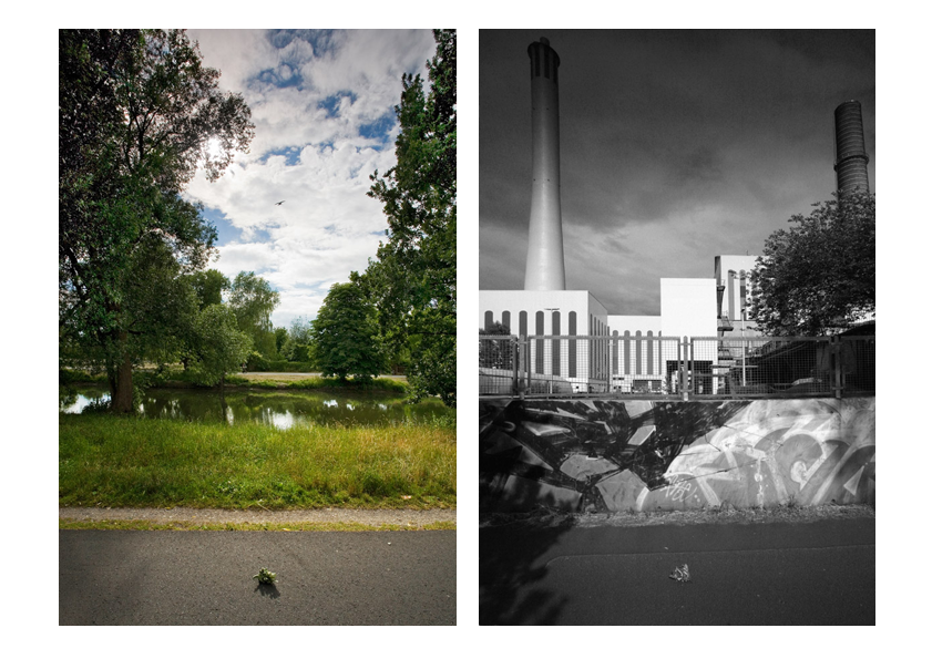 Janusviews – Braunschweig Germany