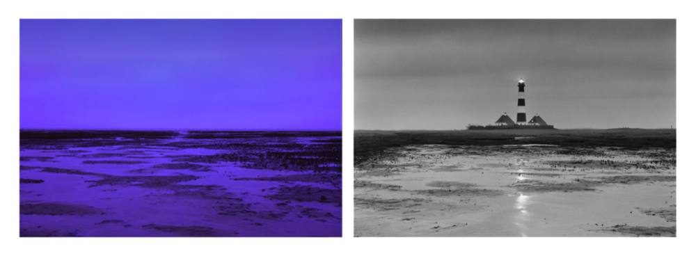 Janusviews – Westerhever Germany