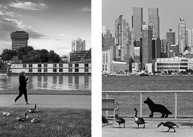 Fr ny 06
