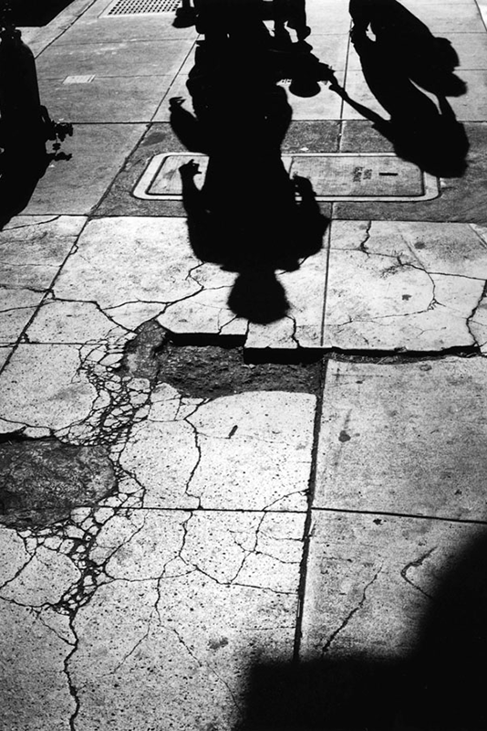1180 26 streefotografie