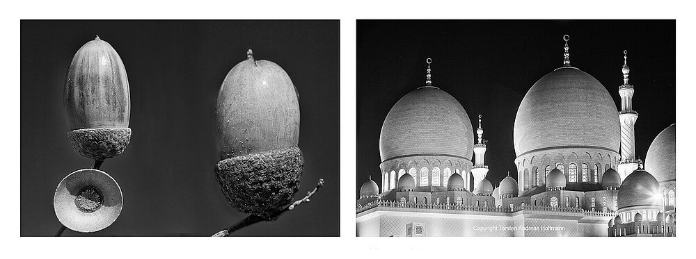 20 Eicheln und Sheikh Zayid Moschee Abu Dhabi